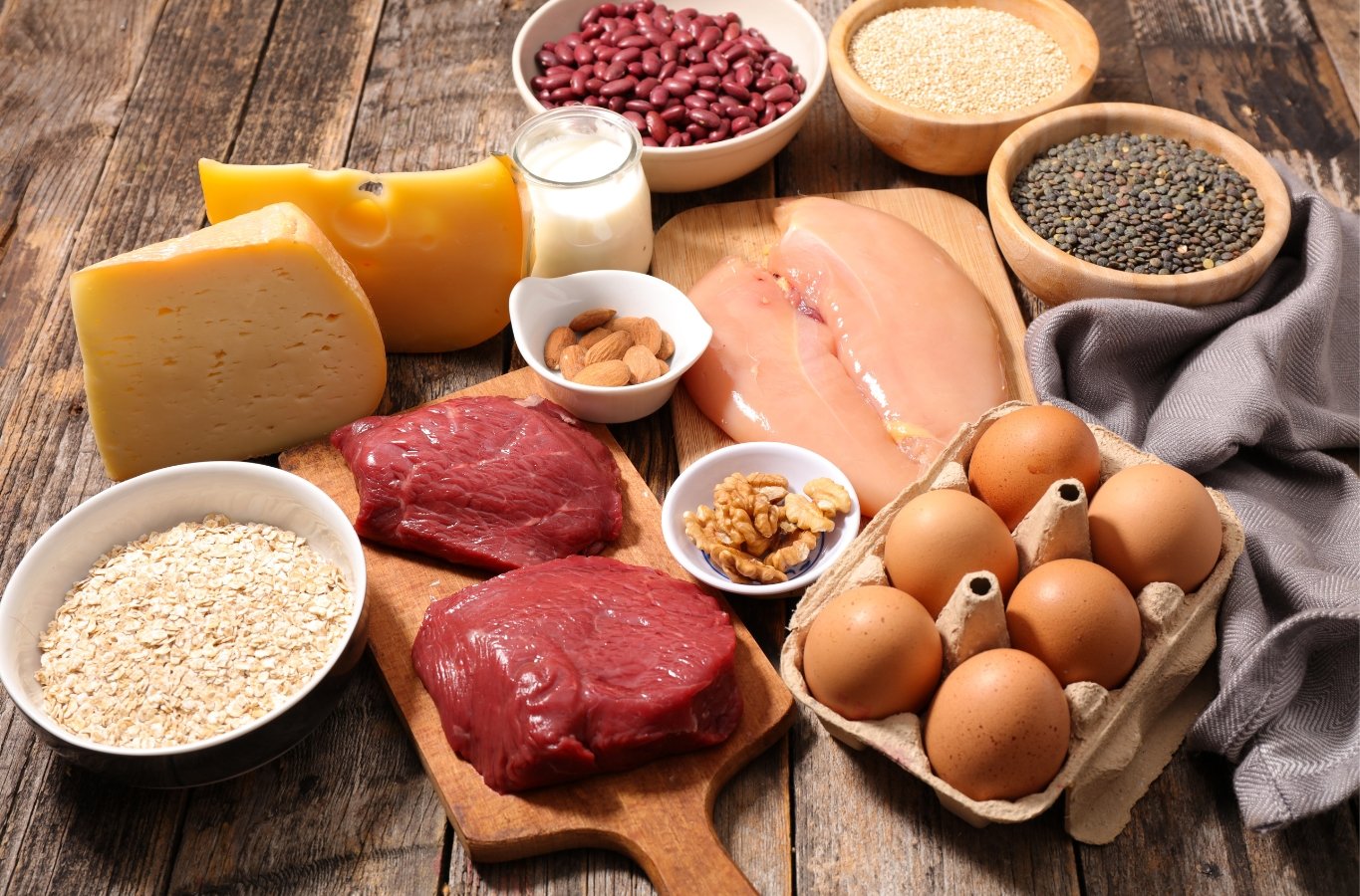 ¿Cuáles son los alimentos con más proteína?