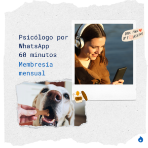 Psicólogo por WhatsApp